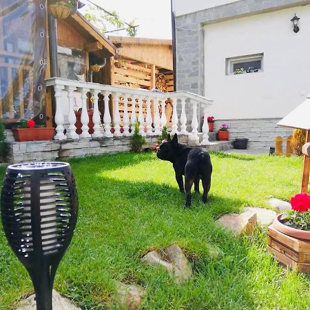 Guest House Grahlyov Sapareva Banya Luaran gambar