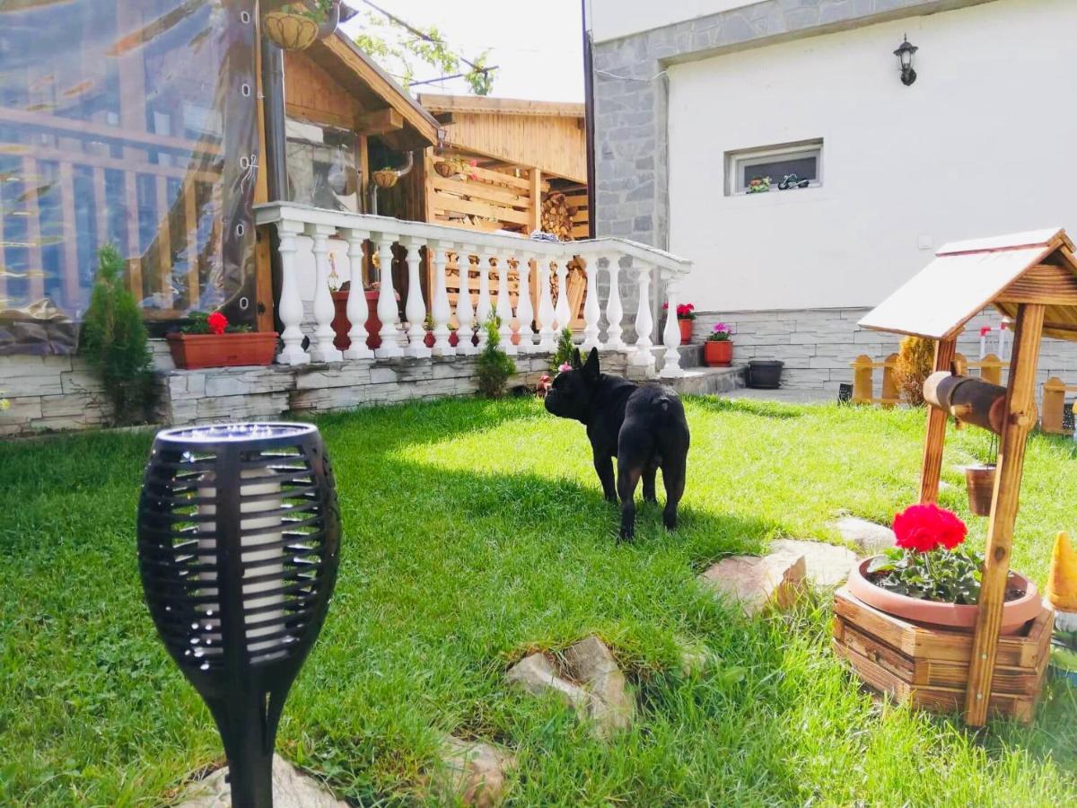 Guest House Grahlyov Sapareva Banya Luaran gambar